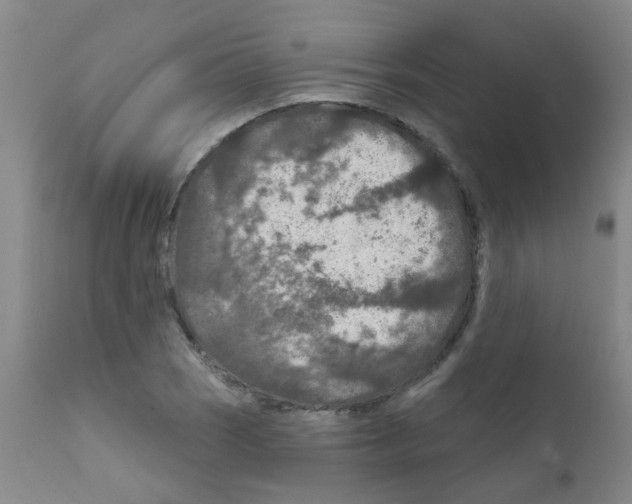 X0000111791121200909031151