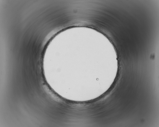 X0000111791122200909031151