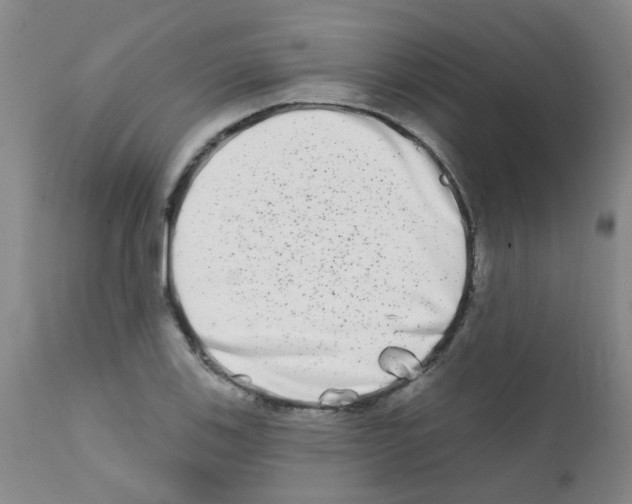 X0000111791123200909031151