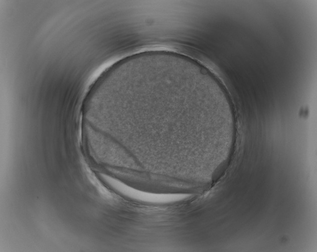 X0000111791127200909031151