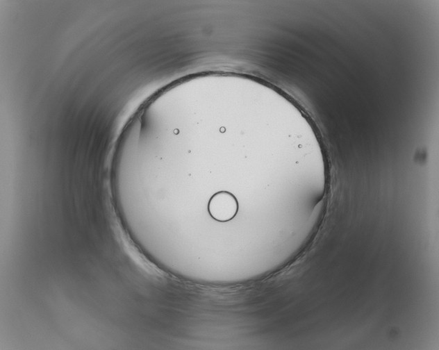 X0000111791128200909031151