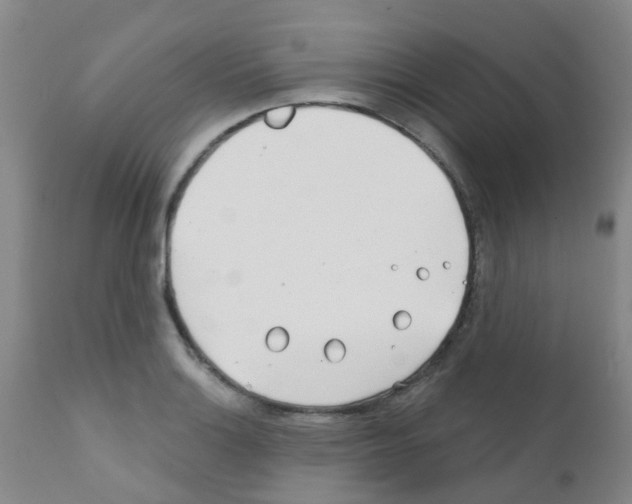 X0000111791132200909031151