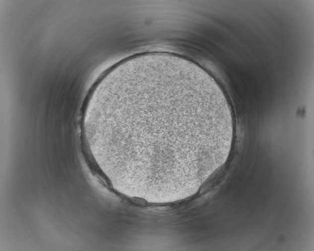 X0000111791133200909031151