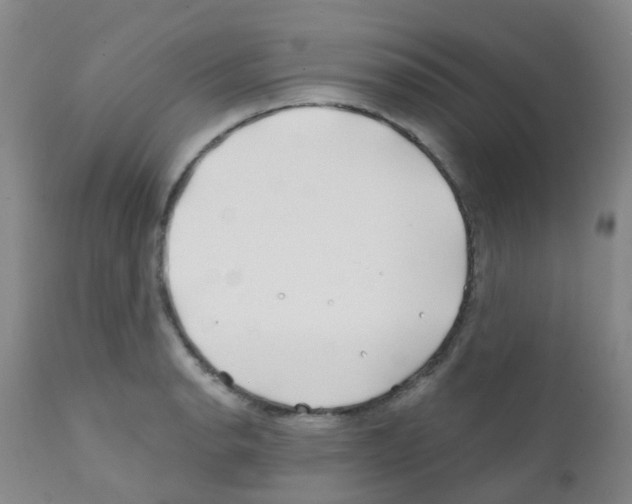 X0000111791134200909031151