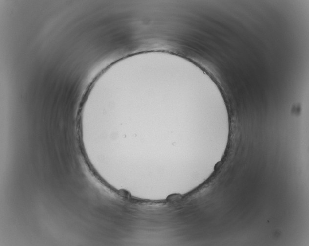 X0000111791135200909031151