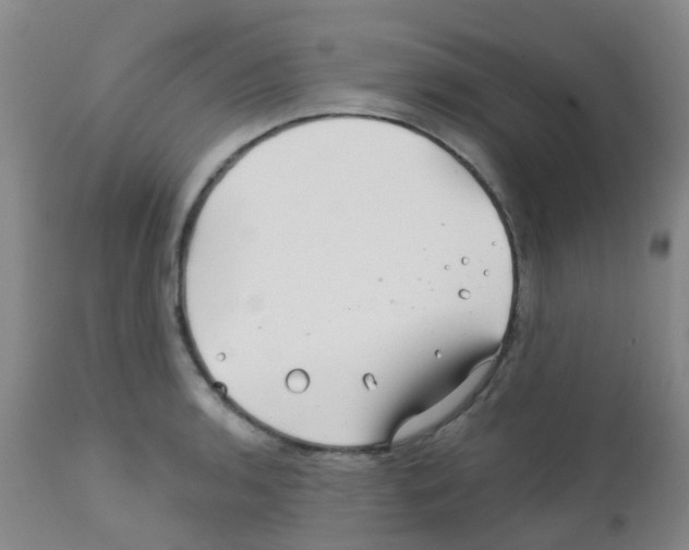 X0000111791136200909031151