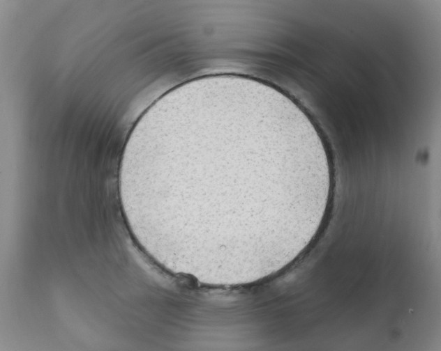 X0000111791137200909031151