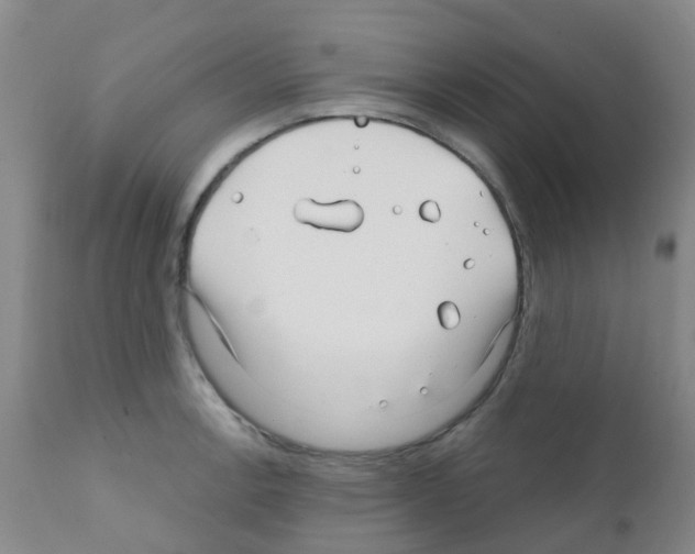 X0000111791138200909031151