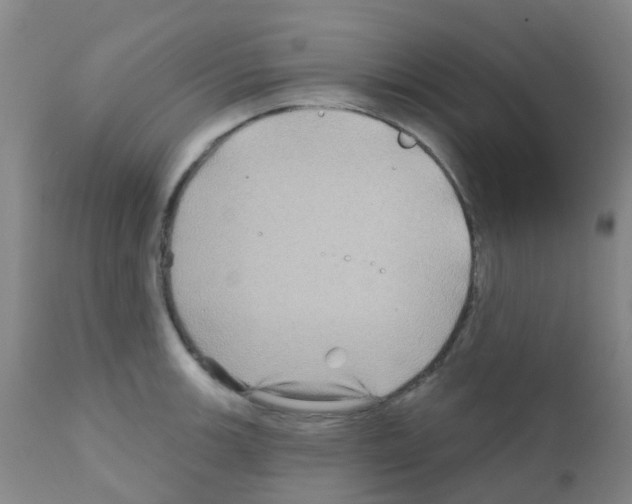 X0000111791139200909031151