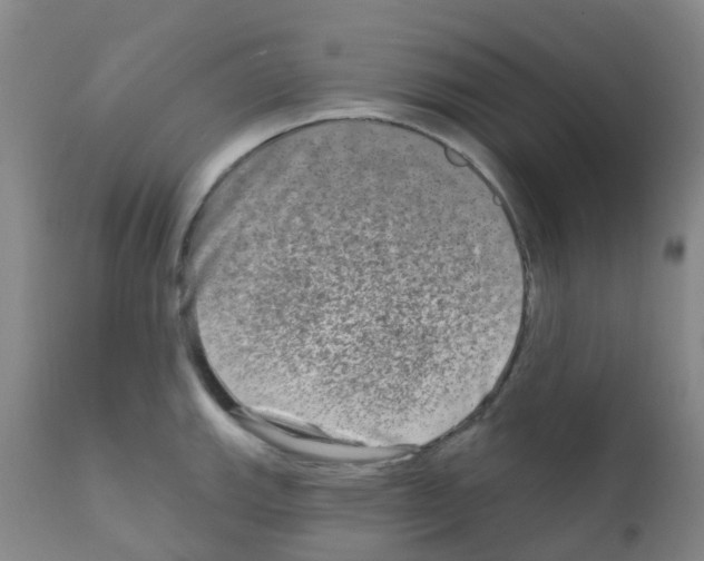 X0000111791143200909031151