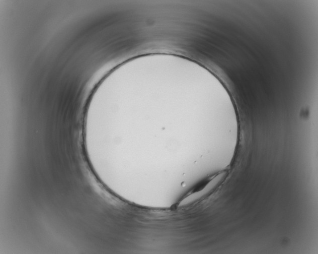 X0000111791144200909031151