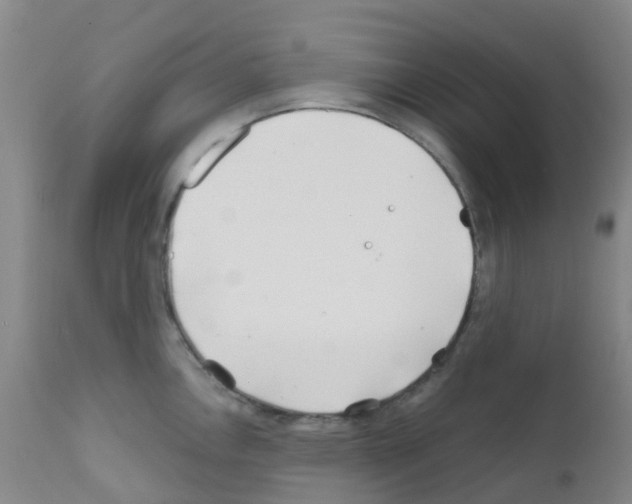 X0000111791146200909031151