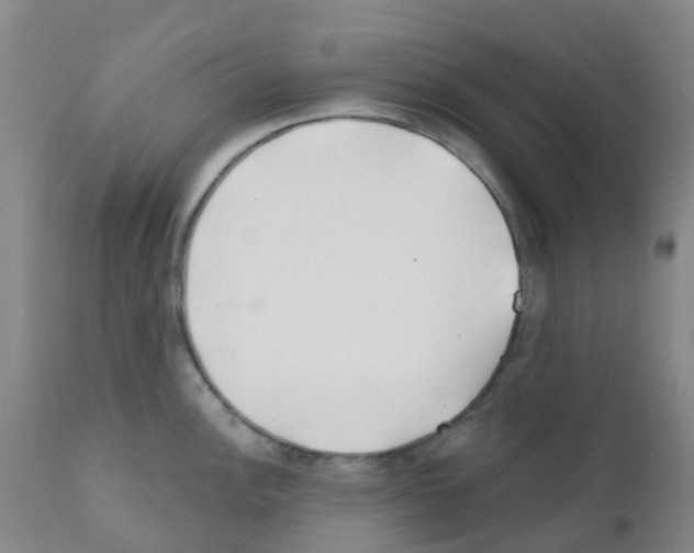 X0000111791148200909031151