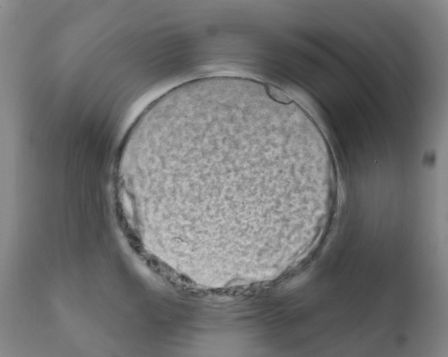 X0000111791149200909031151