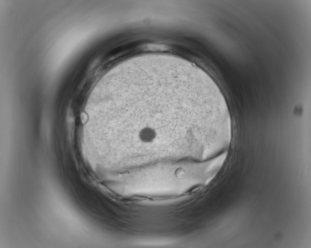 X0000111791151200909031151