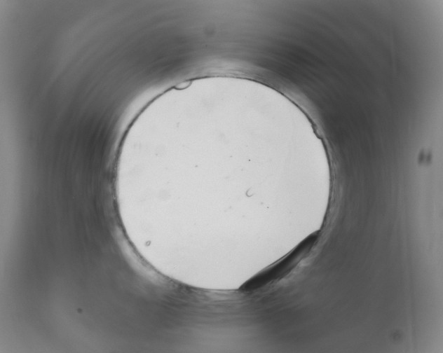 X0000111791152200909031151