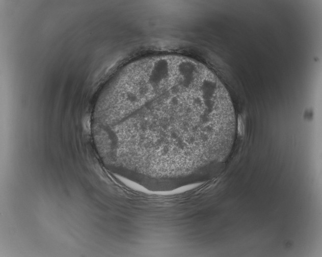 X0000111791155200909031150