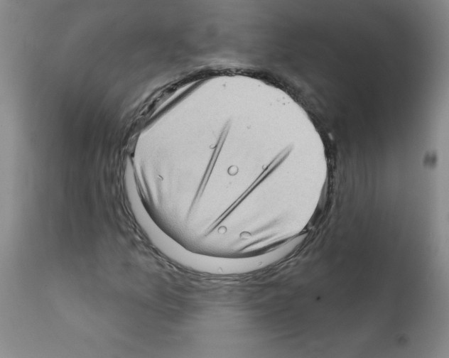 X0000111791157200909031150