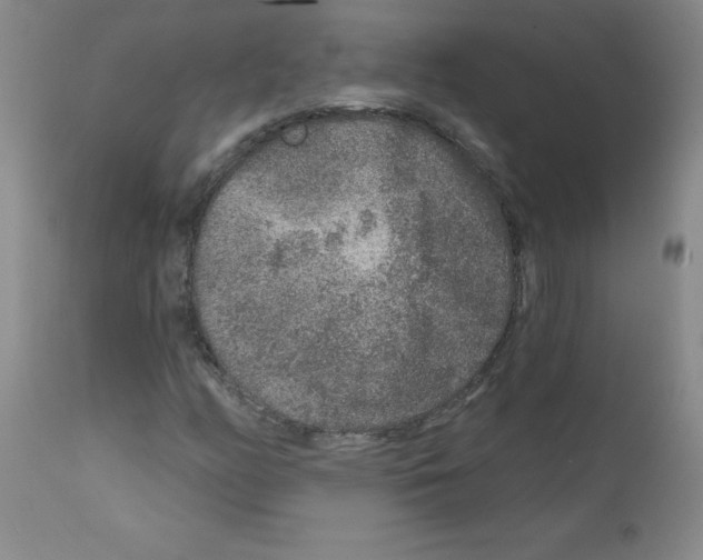 X0000111791158200909031150