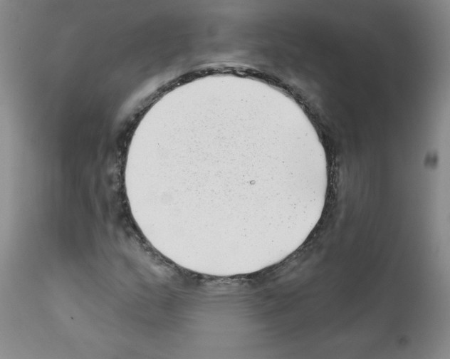 X0000111791159200909031150