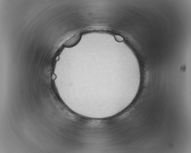 X0000111791162200909031150