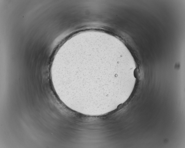 X0000111791164200909031150