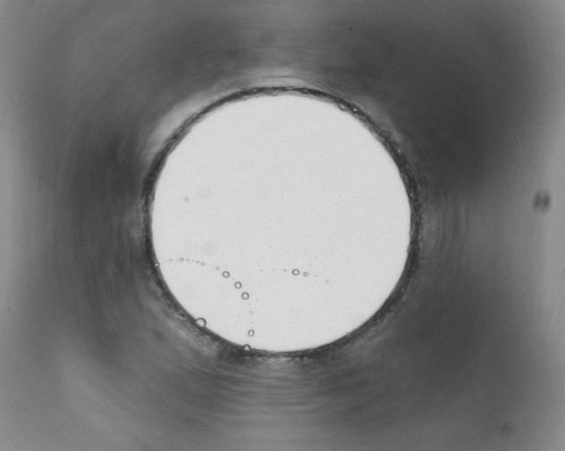 X0000111791167200909031150