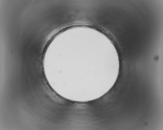 X0000111791168200909031150