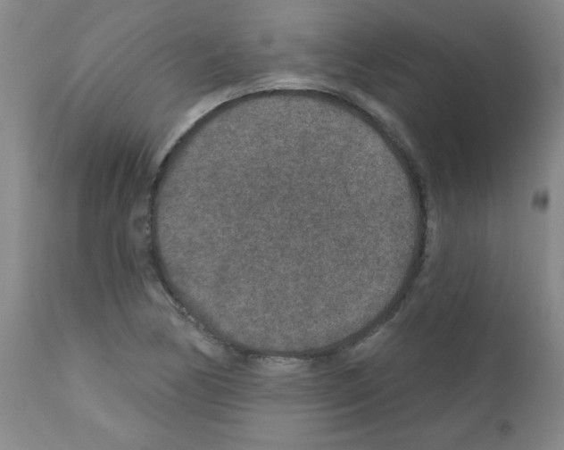 X0000111791170200909031150