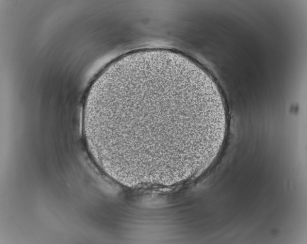 X0000111791171200909031150