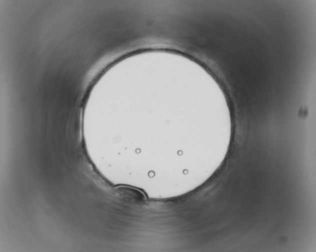 X0000111791175200909031150