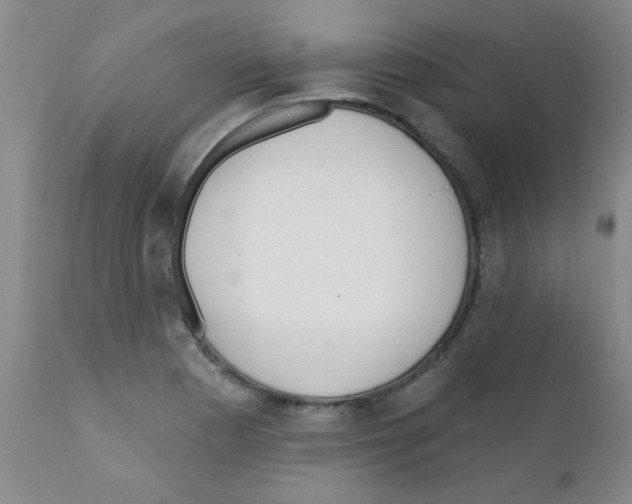 X0000111791177200909031150