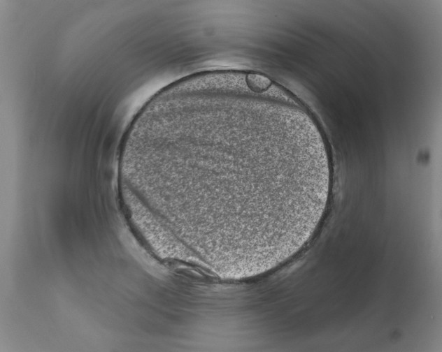 X0000111791179200909031150