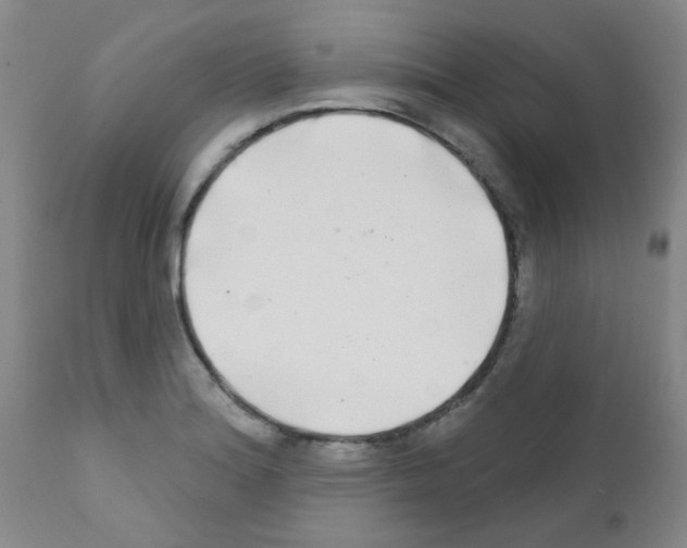 X0000111791180200909031150