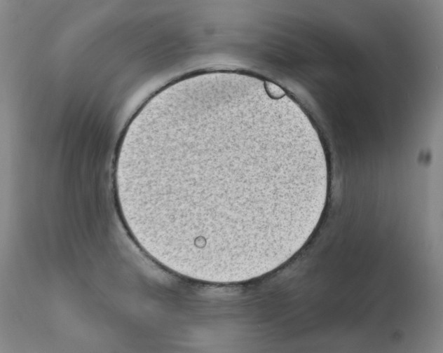 X0000111791183200909031150