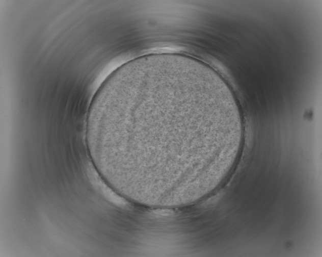 X0000111791186200909031150