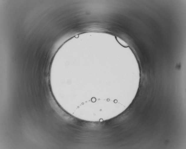 X0000111791195200909031150