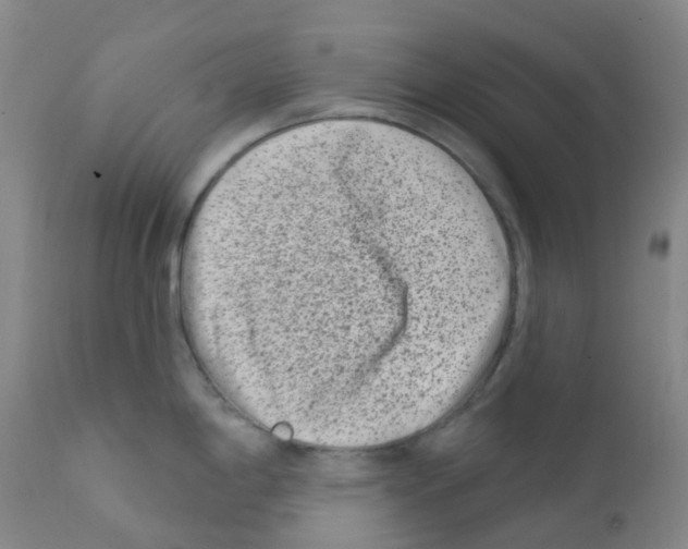 X0000111791198200909031150