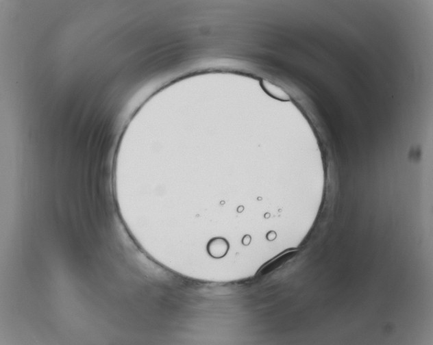 X0000111791199200909031150