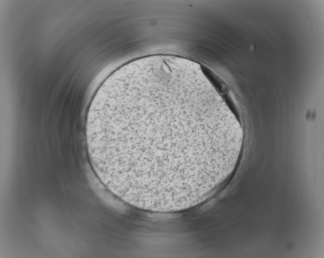 X0000111791200200909031150