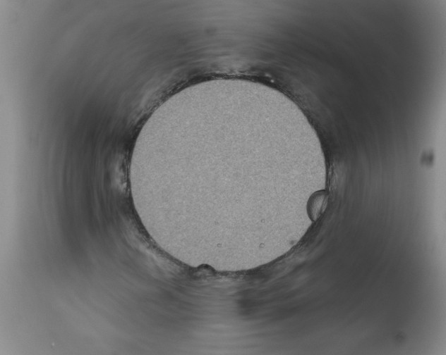 X0000111791202200909031149