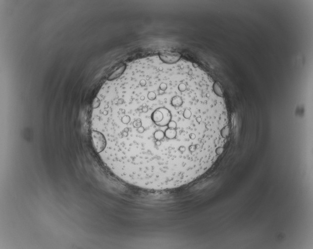 X0000111791203200909031149