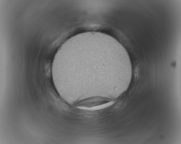 X0000111791204200909031149