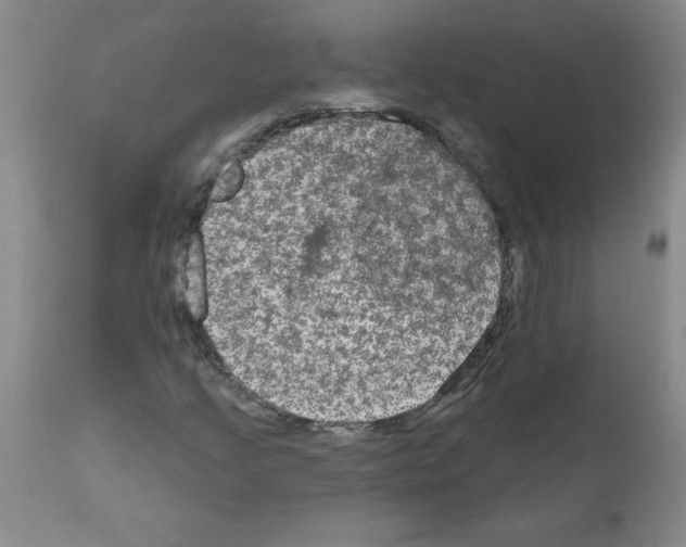 X0000111791205200909031149