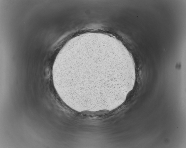 X0000111791206200909031149