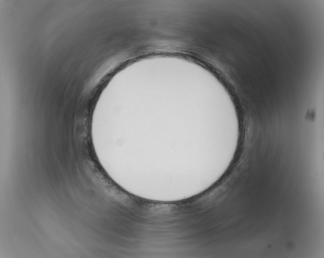 X0000111791211200909031149