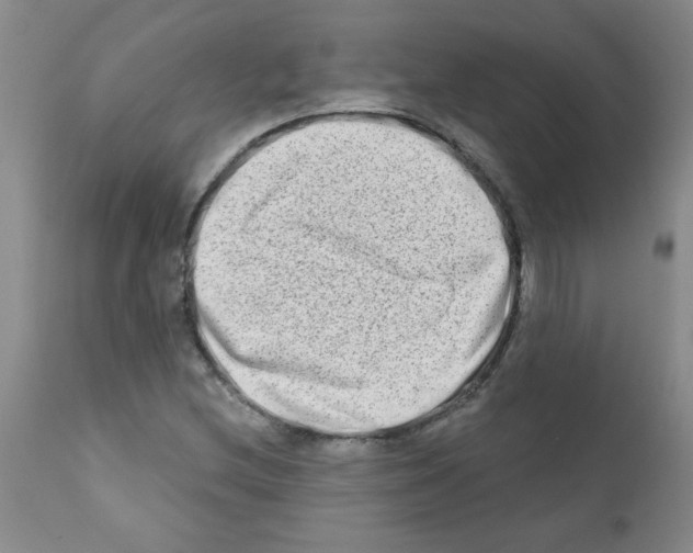 X0000111791212200909031149