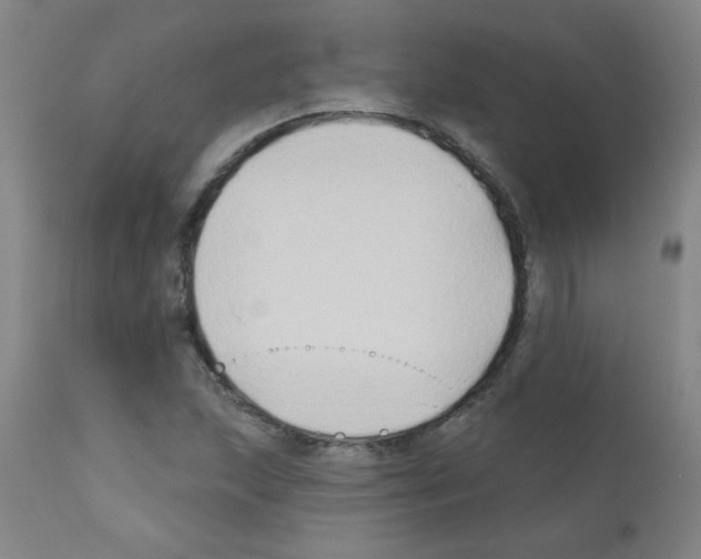 X0000111791215200909031149