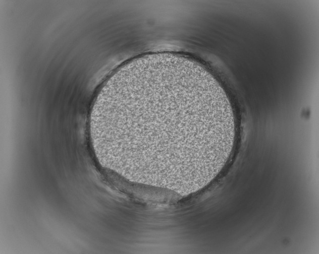 X0000111791217200909031149