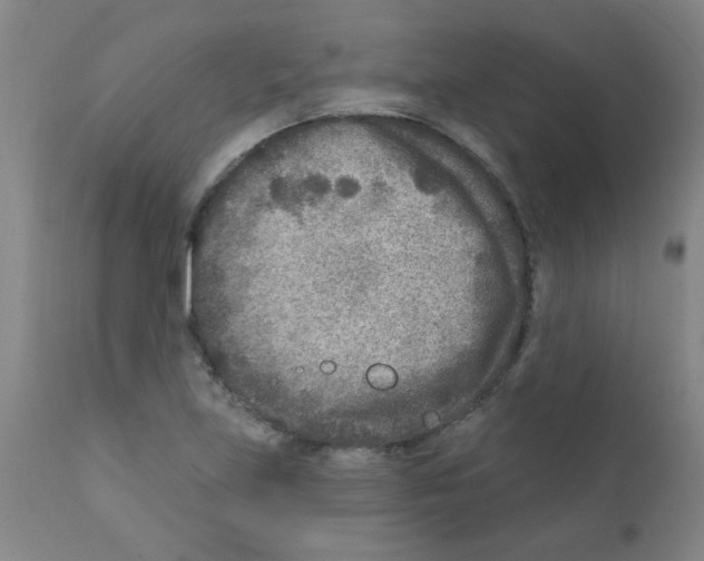 X0000111791219200909031149